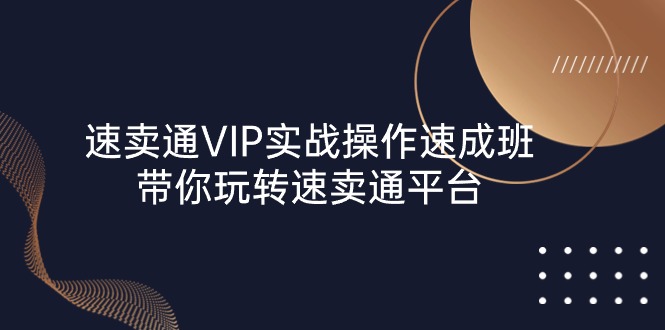 速卖通 VIP实战操作-速成班，带你玩转速卖通平台 - AI 智能探索网-AI 智能探索网