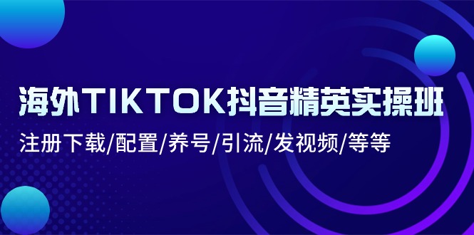 海外TIKTOK抖音精英实操班：注册下载/配置/养号/引流/发视频/等等 - AI 智能探索网-AI 智能探索网