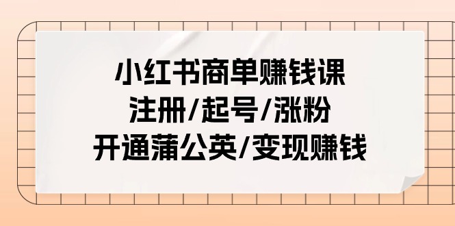 小红书商单赚钱课：注册/起号/涨粉/开通蒲公英/变现赚钱 - AI 智能探索网-AI 智能探索网