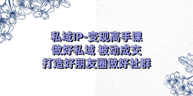 私域IP-变现高手课：做好私域 被动成交，打造好朋友圈做好社群 - AI 智能探索网-AI 智能探索网