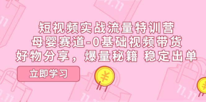 短视频实战流量特训营，母婴赛道-0基础带货，好物分享，爆量秘籍 稳定出单 - AI 智能探索网-AI 智能探索网