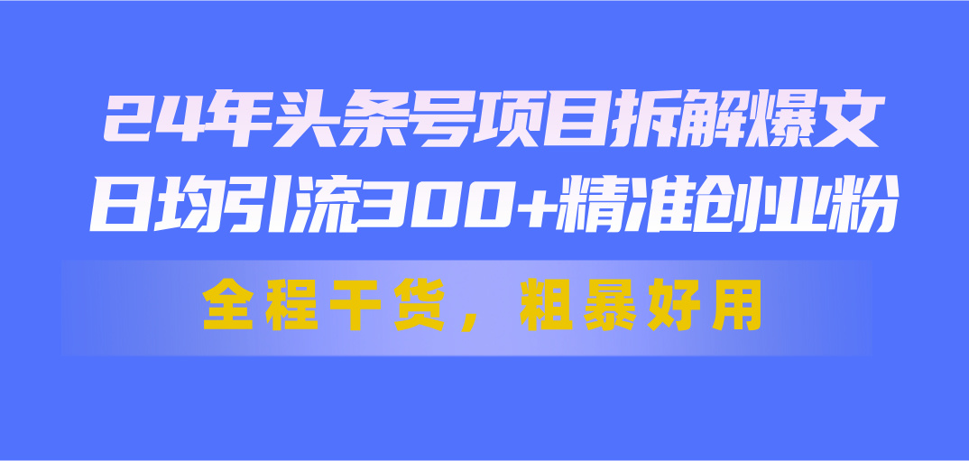 图片[1]-24年头条号项目拆解爆文，日均引流300+精准创业粉，全程干货，粗暴好用 - 冒泡网-冒泡网