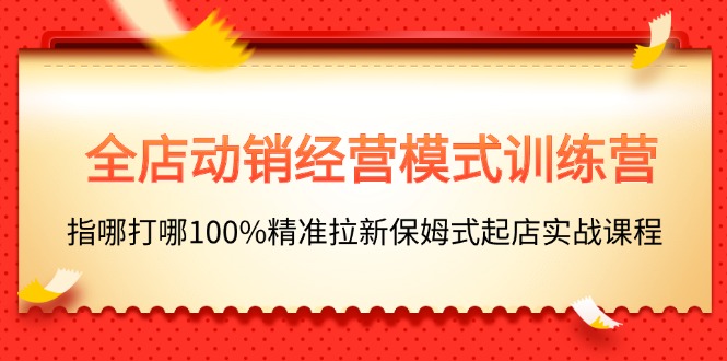 全店动销-经营模式训练营，指哪打哪100%精准拉新保姆式起店实战课程 - AI 智能探索网-AI 智能探索网