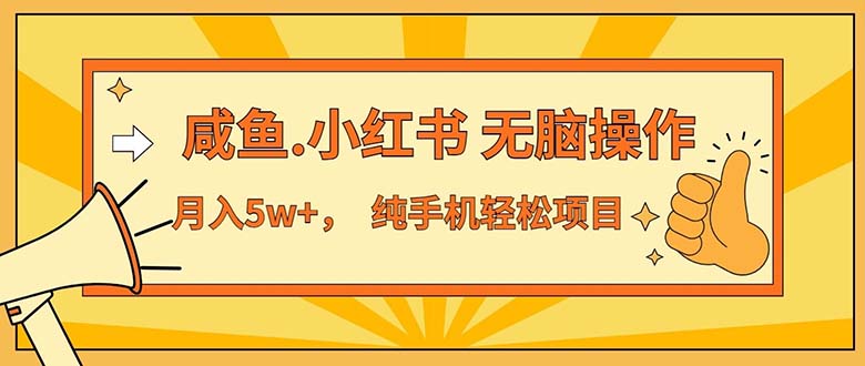 2024最赚钱的项目，咸鱼，小红书无脑操作，每单利润500+，轻松月入5万+… - AI 智能探索网-AI 智能探索网