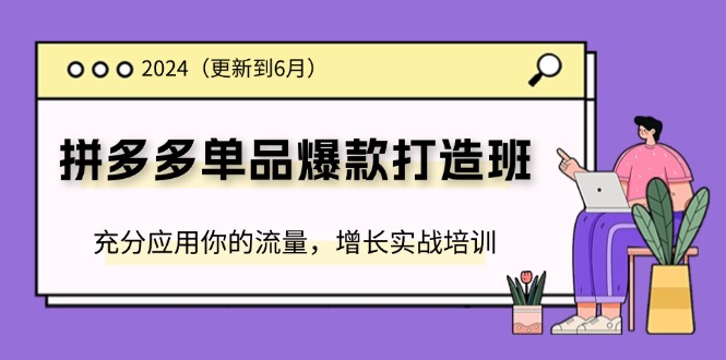 2024拼多多-单品爆款打造班(更新6月)，充分应用你的流量，增长实战培训 - AI 智能探索网-AI 智能探索网