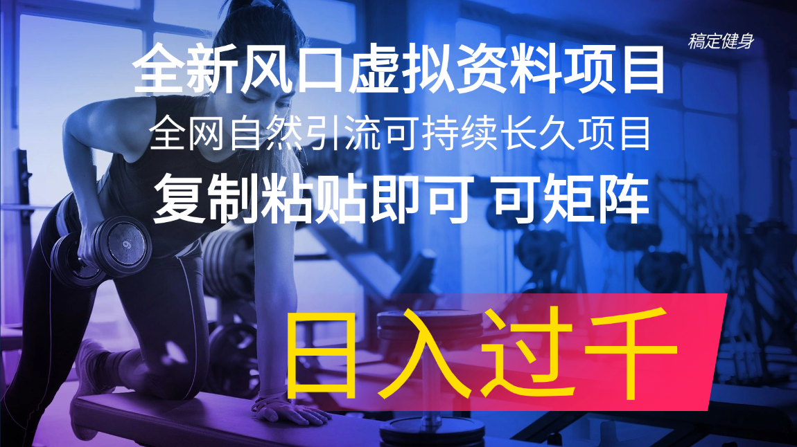 全新风口虚拟资料项目 全网自然引流可持续长久项目 复制粘贴即可可矩阵… - AI 智能探索网-AI 智能探索网