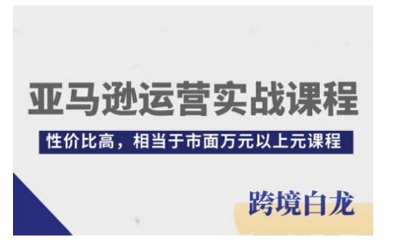 亚马逊运营实战课程，亚马逊从入门到精通，性价比高，相当于市面万元以上元课程 - AI 智能探索网-AI 智能探索网