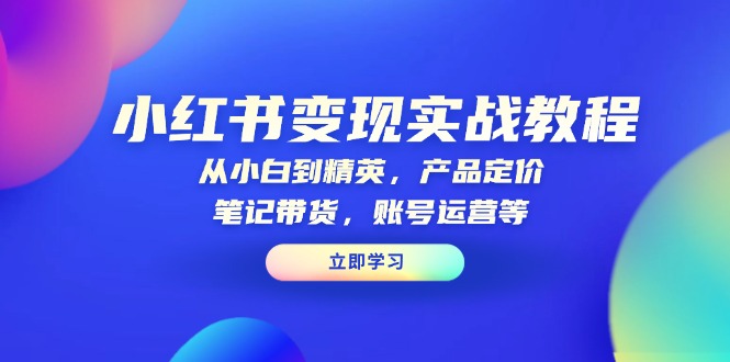 小红书变现实战教程：从小白到精英，产品定价，笔记带货，账号运营等 - AI 智能探索网-AI 智能探索网