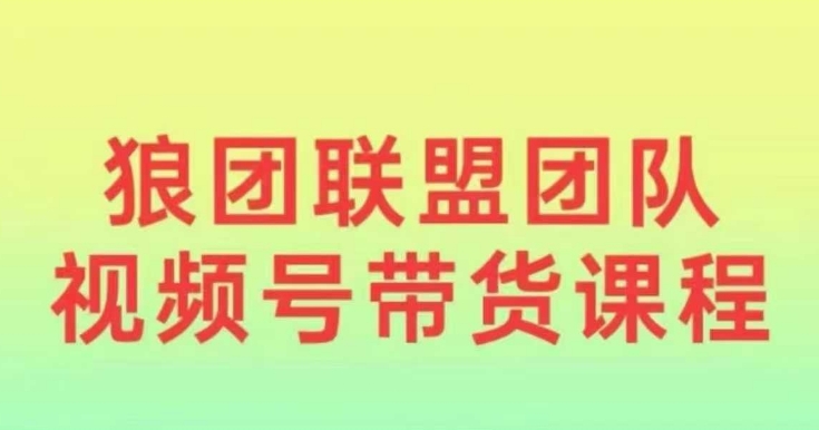 狼团联盟2024视频号带货，0基础小白快速入局视频号 - AI 智能探索网-AI 智能探索网