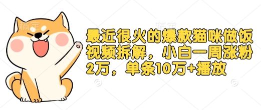 最近很火的爆款猫咪做饭视频拆解，小白一周涨粉2万，单条10万+播放(附保姆级教程) - AI 智能探索网-AI 智能探索网