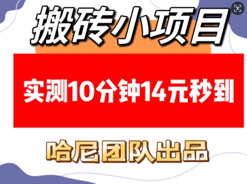 搬砖小项目，实测10分钟14元秒到，每天稳定几张(赠送必看稳定) - AI 智能探索网-AI 智能探索网