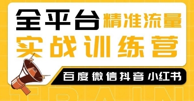 全平台精准流量实战训练营，百度微信抖音小红书SEO引流教程 - AI 智能探索网-AI 智能探索网